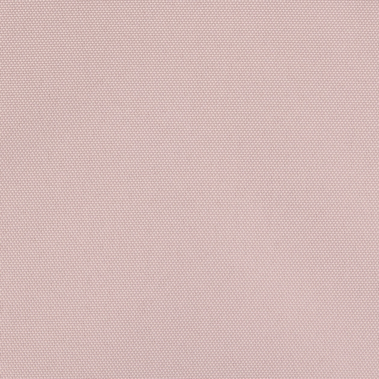 Thumbnail 53